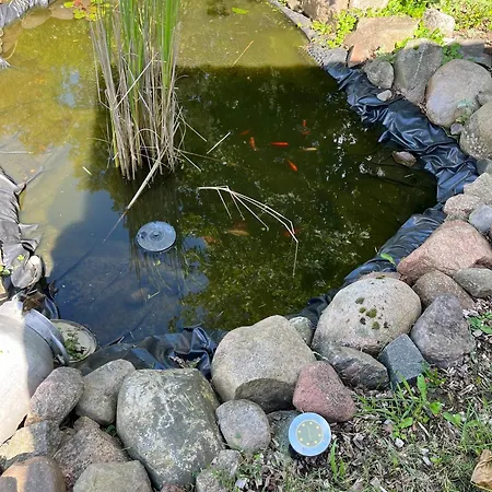 Tiny House Campeggio *